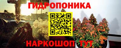 кокс Нальчик