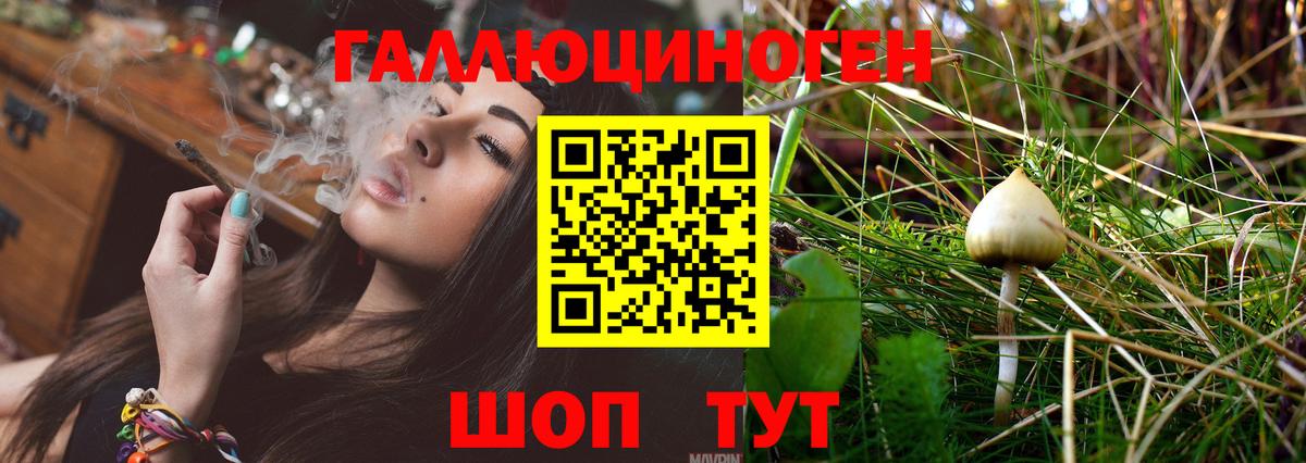 Псилоцибиновые грибы ЛСД  Вход с VPN  Мирный 